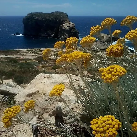 Mario Hideaway דירה קסלנדי